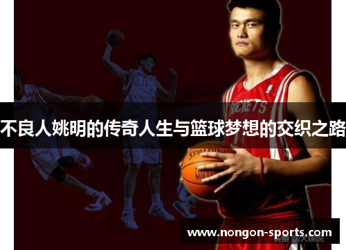 不良人姚明的传奇人生与篮球梦想的交织之路
